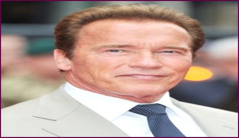 Arnold Schwarzenegger Favorite Food Cigar Music Color Hobbies Biography
