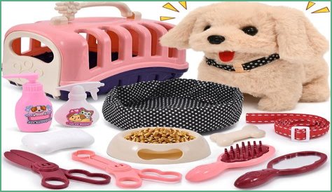 Best Toys for Pets Home Alone
